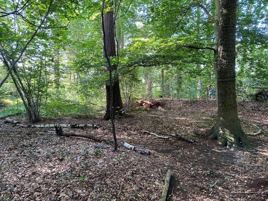 De Springop Eefde Exterior foto
