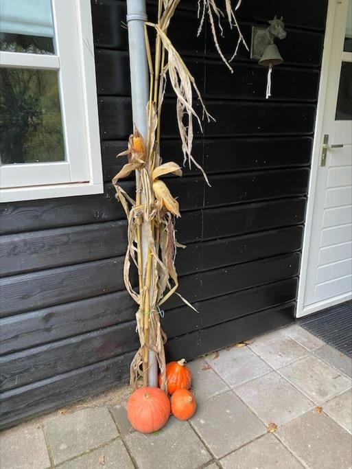 De Springop Eefde Exterior foto