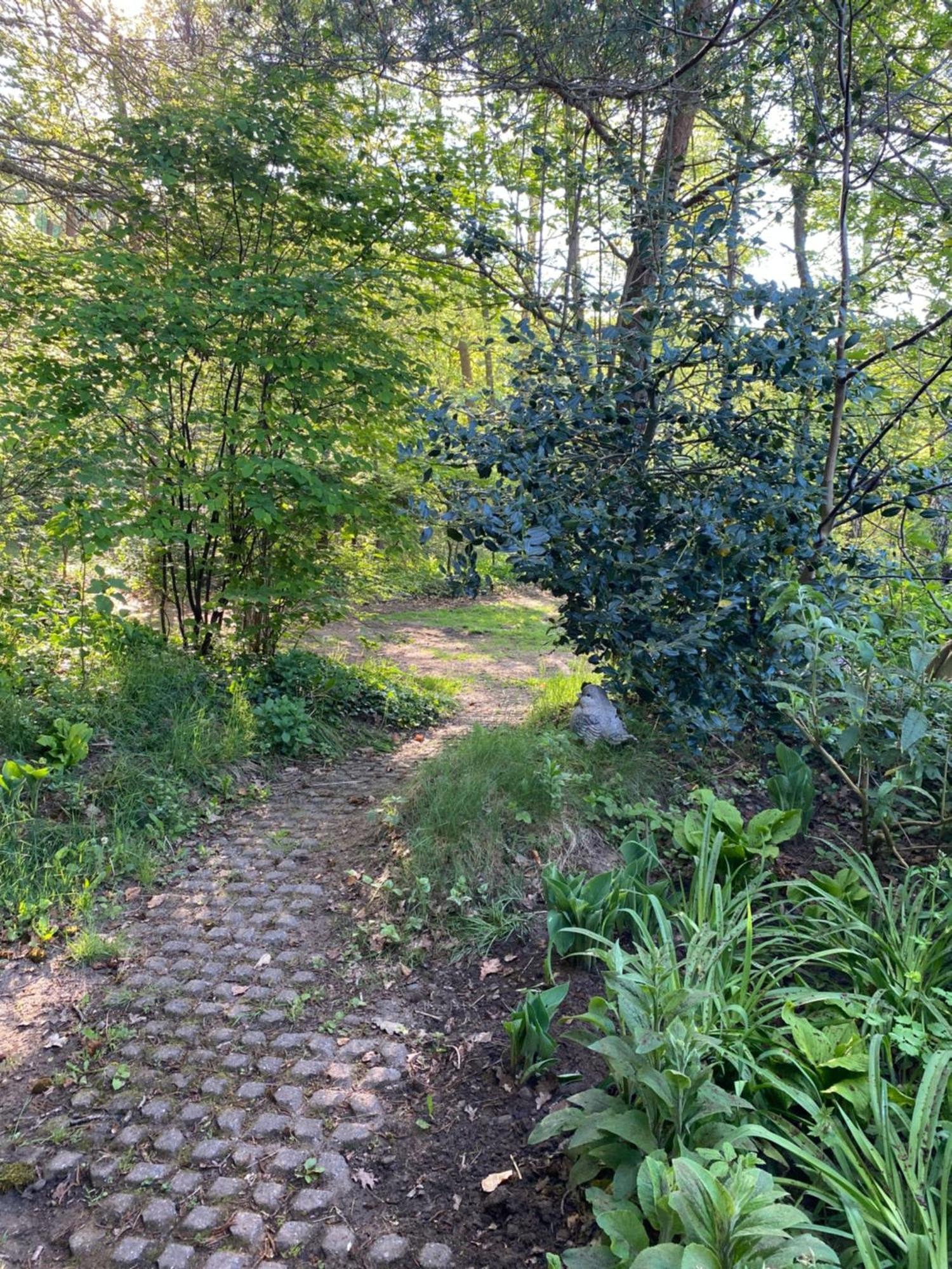 De Springop Eefde Exterior foto